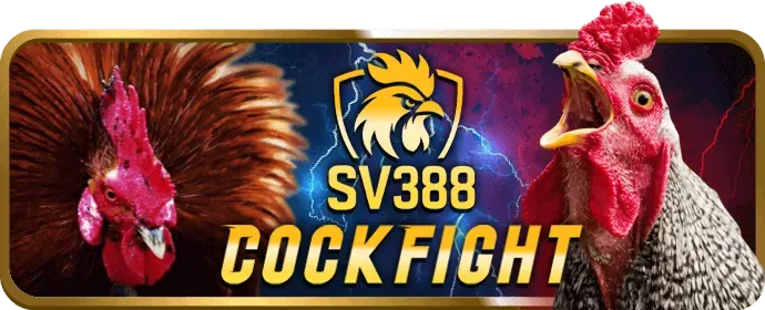 Hỗ Trợ Khách Hàng 26tr88